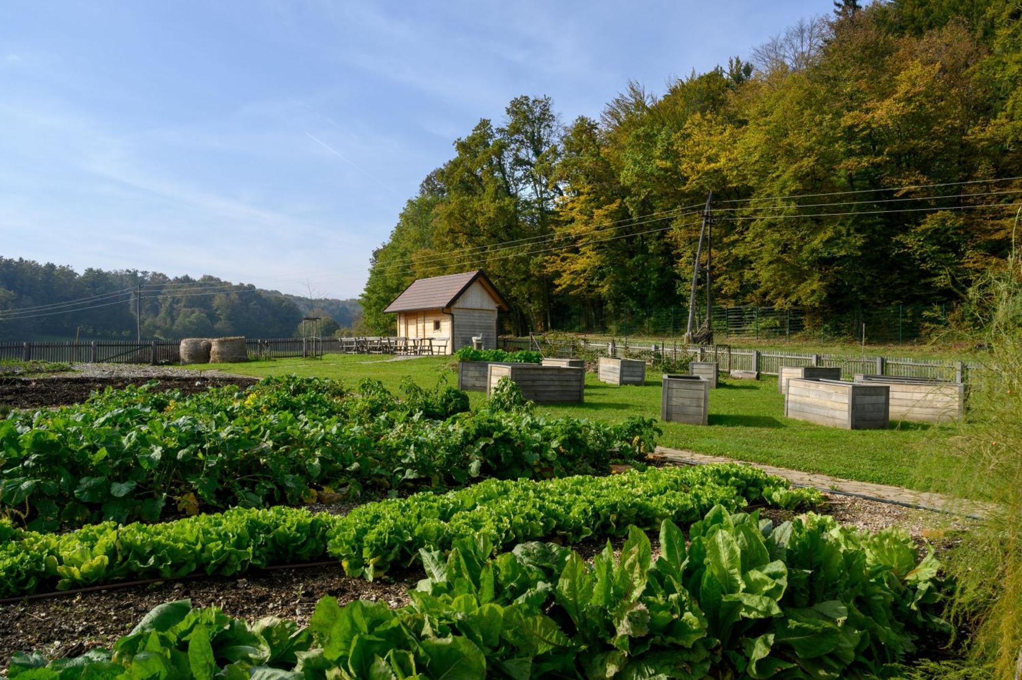 Hotel Grad Otocec - Relais Chateaux Zewnętrze zdjęcie